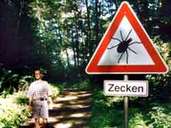Dass Zecken nur von Bäumen auf ihre Wirte fallen, ist ein weit verbreiteter Irrglaube. Die Blutsauger halten sich vielmehr in hohen Gräsern und im Unterholz in einer Höhe von bis zu 1,50 Meter auf. Entsprechend sollte bei Spaziergängen geschlossene Kleidung mit langen Ärmeln und langen Hosen getragen werden. Dass Zecken nur von Bäumen auf ihre Wirte fallen, ist ein weit verbreiteter Irrglaube. Die Blutsauger halten sich vielmehr in hohen Gräsern und im Unterholz in einer Höhe von bis zu 1,50 Meter auf. Entsprechend sollte bei Spaziergängen geschlossene Kleidung mit langen Ärmeln und langen Hosen getragen werden.