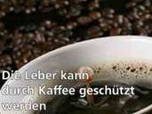 Kaffee: Die fünf wichtigsten Studien Kaffee: Die fünf wichtigsten Studien