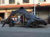 Ein toter Walhai wird auf einem Traktor zu einem Fischgroßmarkt in Xiangzhi (China) transportiert. Ein einheimischer Fischer hatte den Walhai aus dem Meer gezogen. Anfangs war der Mann überzeugt, dass ihm ein "Seeungeheuer" ins Netz gegangen wäre. Ein toter Walhai wird auf einem Traktor zu einem Fischgroßmarkt in Xiangzhi (China) transportiert. Ein einheimischer Fischer hatte den Walhai aus dem Meer gezogen. Anfangs war der Mann überzeugt, dass ihm ein "Seeungeheuer" ins Netz gegangen wäre.