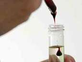 Blut Blut