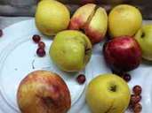 Haare, vergammeltes Obst oder Schimmel: Ekelhafte Überraschungen am Hotelbuffet. Haare, vergammeltes Obst oder Schimmel: Ekelhafte Überraschungen am Hotelbuffet.