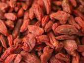 Gojibeeren gehören in die Kategorie Superfoods - das sind natürliche Nahrungsmittel, die mit wertvollen Inhaltsstoffen einen Beitrag zur gesunden Ernährung leisten können. Gojibeeren gehören in die Kategorie Superfoods - das sind natürliche Nahrungsmittel, die mit wertvollen Inhaltsstoffen einen Beitrag zur gesunden Ernährung leisten können.