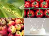 Gluten, Histamin, Fructose, Lactose: Bei Nahrungsmittelunverträglichkeiten ist es nicht ganz leicht, den richtigen Auslöser zu finden. Fotos: dpa-tmn Foto: dpa-tmn Gluten, Histamin, Fructose, Lactose: Bei Nahrungsmittelunverträglichkeiten ist es nicht ganz leicht, den richtigen Auslöser zu finden. Fotos: dpa-tmn Foto: dpa-tmn