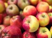 Wer Fructose nicht verträgt, dem ist es nicht unbedingt komplett verboten, Obst zu essen. Foto: Florian Schuh Wer Fructose nicht verträgt, dem ist es nicht unbedingt komplett verboten, Obst zu essen. Foto: Florian Schuh