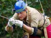 Dschungelcamp 2017 Tag 9 Dschungelcamp 2017 Tag 9