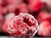 Tiefkühlkost kennt keine Saison. Himbeeren werden geerntet, wenn sie reif sind - und sofort tiefgefroren. Tiefkühlkost kennt keine Saison. Himbeeren werden geerntet, wenn sie reif sind - und sofort tiefgefroren.