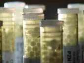 In den meisten homöopathischen Globuli ist kein Wirkstoff mehr nachweisbar. Foto: Franziska Gabbert/dpa-tmn In den meisten homöopathischen Globuli ist kein Wirkstoff mehr nachweisbar. Foto: Franziska Gabbert/dpa-tmn