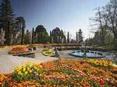 Stier 21.04. – 20.05.: Inspiration in Sachen Flora findet der Stier auf der Blumeninsel Mainau im Bodensee. Stier 21.04. – 20.05.: Inspiration in Sachen Flora findet der Stier auf der Blumeninsel Mainau im Bodensee.