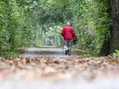 Darum hält Nordic Walking durch das Herbstlaub Ihr Herz gesund. Darum hält Nordic Walking durch das Herbstlaub Ihr Herz gesund.