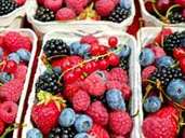 Himbeeren, Brombeeren oder Heidelbeeren: Alle sind sie lecker, erfrischen und gelten als krebshemmend. Zudem enthalten sie viel Antoxidantien, die die Haut geschmeidig halten. Himbeeren, Brombeeren oder Heidelbeeren: Alle sind sie lecker, erfrischen und gelten als krebshemmend. Zudem enthalten sie viel Antoxidantien, die die Haut geschmeidig halten.