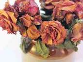 Blumen an sich werten die Wohnung hervorragend auf und beleben die Umgebung. Sind die Pflanzen allerdings verwelkt, drücken Sie eher auf die Stimmung - selbst, wenn Sie das nicht unmittelbar bemerken. Blumen an sich werten die Wohnung hervorragend auf und beleben die Umgebung. Sind die Pflanzen allerdings verwelkt, drücken Sie eher auf die Stimmung - selbst, wenn Sie das nicht unmittelbar bemerken.