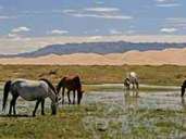 Mongolei: Die Mongolei ist ein Binnenland zwischen China und Russland - und einer der wenigen Orte auf der Welt, wo das Nomadenleben noch eine lebendige Tradition ist. Mongolei: Die Mongolei ist ein Binnenland zwischen China und Russland - und einer der wenigen Orte auf der Welt, wo das Nomadenleben noch eine lebendige Tradition ist.