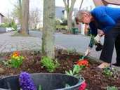 In der Wilhelmstraße verschönern die Anwohner ihre Umgebung mit Blumen. In der Wilhelmstraße verschönern die Anwohner ihre Umgebung mit Blumen.