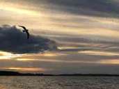 Ostsee schlägt Nordsee? Das sind die beliebtesten Strände Deutschlands Ostsee schlägt Nordsee? Das sind die beliebtesten Strände Deutschlands