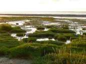 Ostsee schlägt Nordsee? Das sind die beliebtesten Strände Deutschlands Ostsee schlägt Nordsee? Das sind die beliebtesten Strände Deutschlands