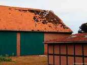 Mehrere Bäume fielen während des Sturmes in Uchte um. Auch ein Schuppen konnte dem Wind nicht Standhalten - die Windhose deckte das Dach ab. Mehrere Bäume fielen während des Sturmes in Uchte um. Auch ein Schuppen konnte dem Wind nicht Standhalten - die Windhose deckte das Dach ab.