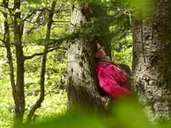 Achtsamkeitsübung im Wald. Annette Bernjus rät, dort ganz bewusst zu pausieren. Foto: Manfred Bernjus/embe-Foto Achtsamkeitsübung im Wald. Annette Bernjus rät, dort ganz bewusst zu pausieren. Foto: Manfred Bernjus/embe-Foto