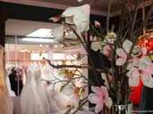 Geschmackvolle Braut- und Abendmode gibt es bei „Prom Dress“ in Heemsen. Geschmackvolle Braut- und Abendmode gibt es bei „Prom Dress“ in Heemsen.