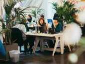 Bootcamps für Softwareentwickler Bootcamps für Softwareentwickler
