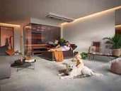 Wellnessbereich im Wohnzimmer Wellnessbereich im Wohnzimmer