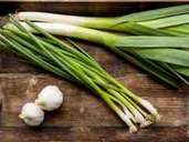 Lauch (Porree) und Frühlingszwiebeln (Lauchzwiebeln) sehen ähnlich aus, sind aber verschiedene Gemüse. Lauch (Porree) und Frühlingszwiebeln (Lauchzwiebeln) sehen ähnlich aus, sind aber verschiedene Gemüse.
