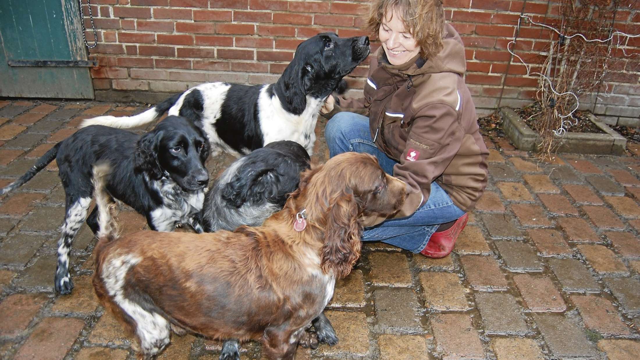 21 Hunde aus aufgelöster Haltung in Munster kommen nach Warpe Nienburg