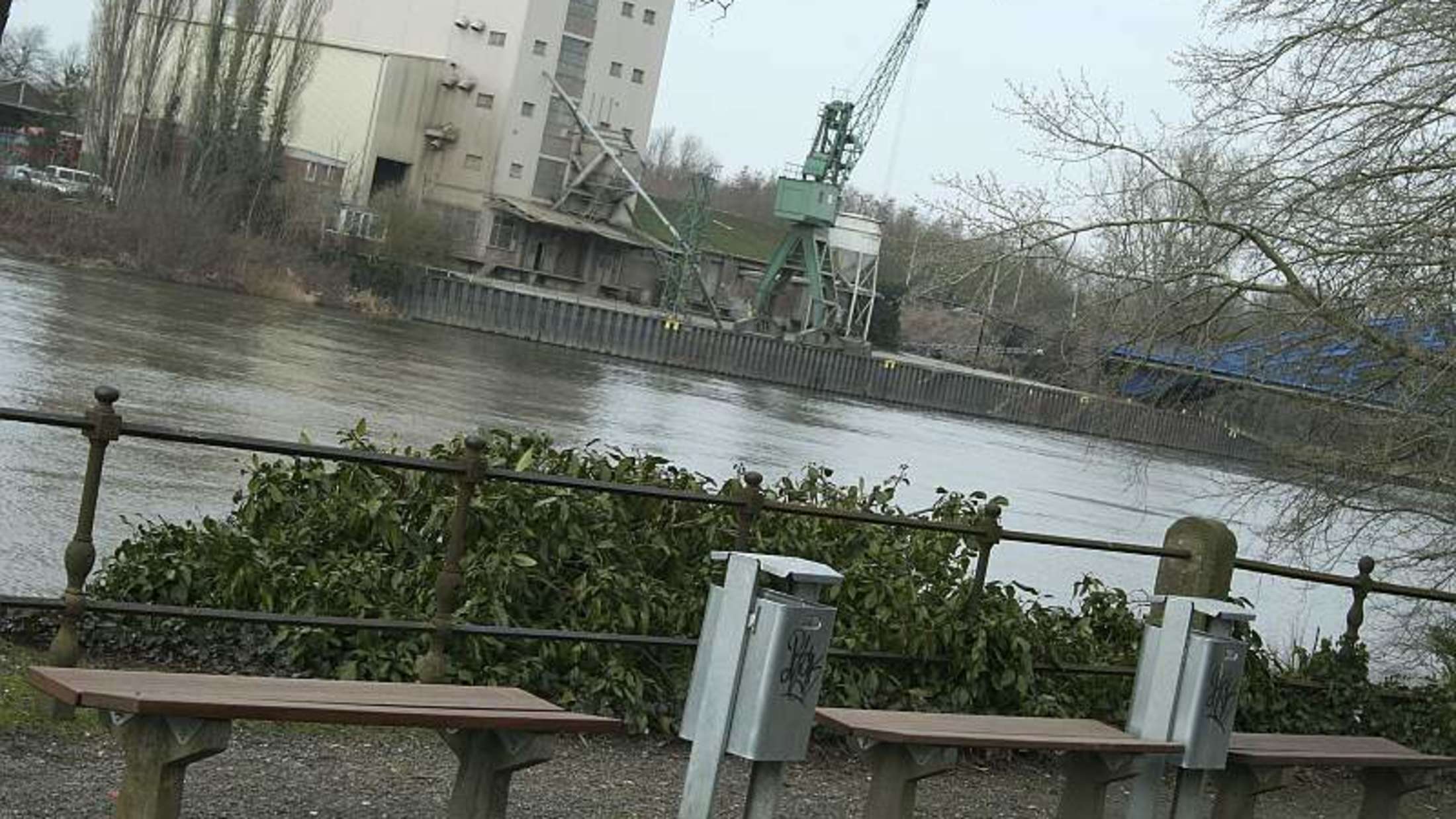 Er sucht sie nienburg