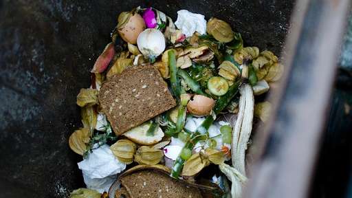 Vier Tipps für die Küche: Müll-Gestank vermeiden | Wohnen